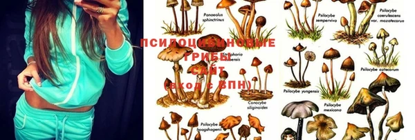 mdma Володарск